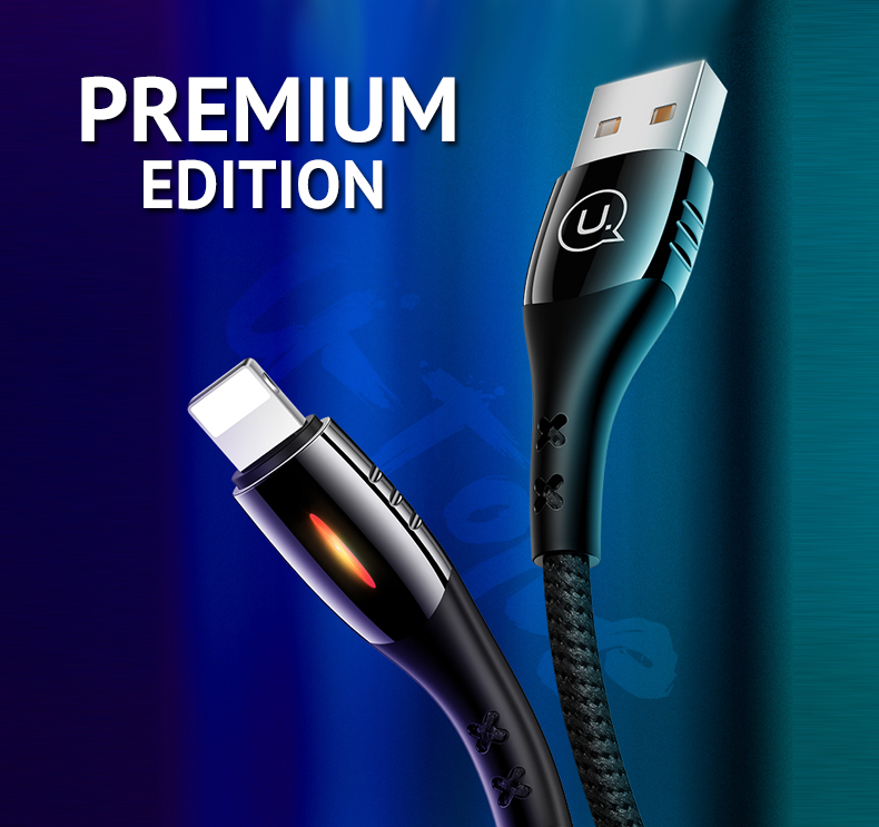 2019 Power off premium edition - Type C - Black - 2 meter